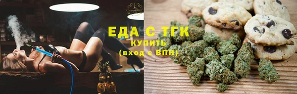 индика Ельня