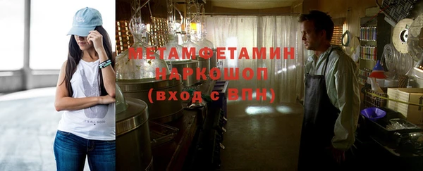 индика Ельня