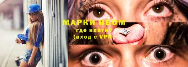 индика Ельня