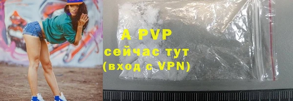 прущие грибы Елабуга