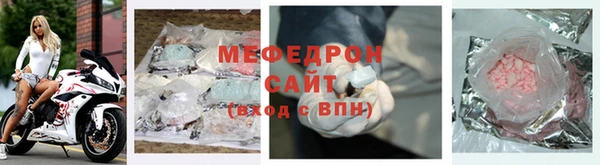 индика Ельня