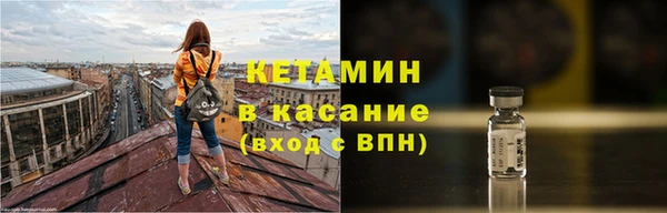 индика Ельня