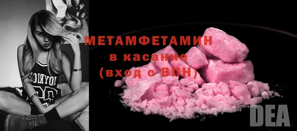 индика Ельня