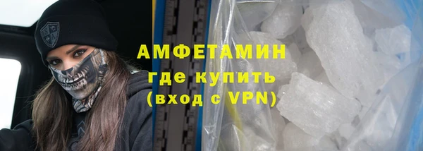 индика Ельня