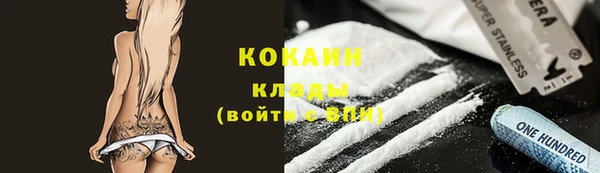 прущие грибы Елабуга
