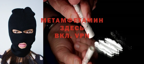 индика Ельня