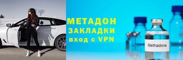 прущие грибы Елабуга