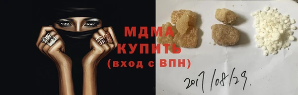 прущие грибы Елабуга