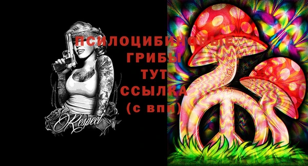 2c-b Елизово