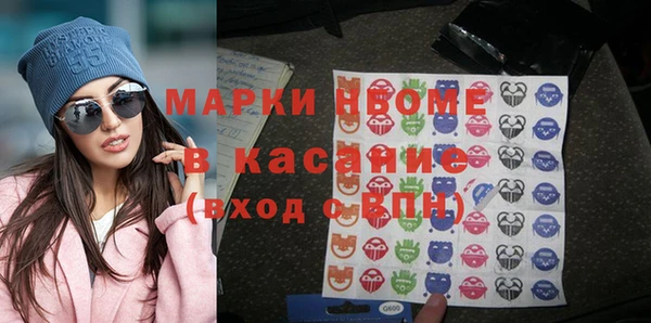 индика Ельня