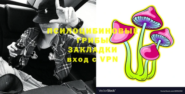 прущие грибы Елабуга