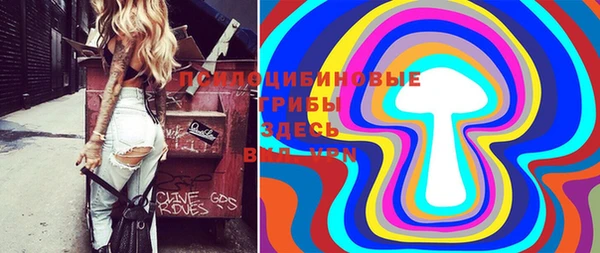 прущие грибы Елабуга