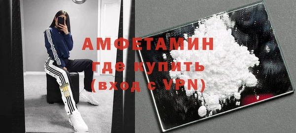 прущие грибы Елабуга