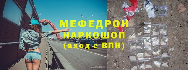 индика Ельня
