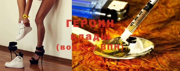 индика Ельня