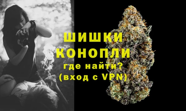 прущие грибы Елабуга