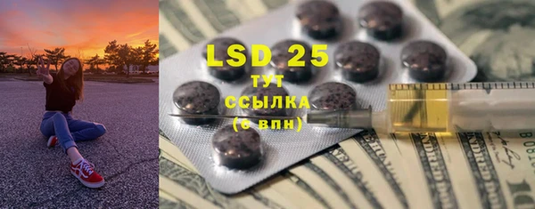 индика Ельня