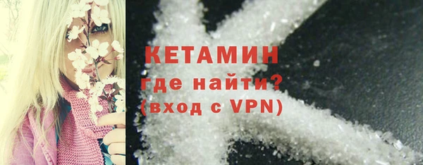 прущие грибы Елабуга